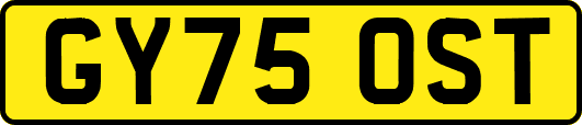 GY75OST