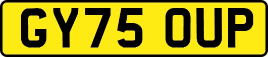 GY75OUP