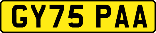 GY75PAA