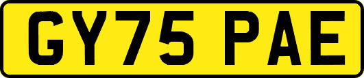 GY75PAE
