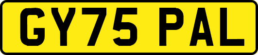 GY75PAL