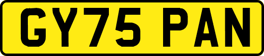 GY75PAN