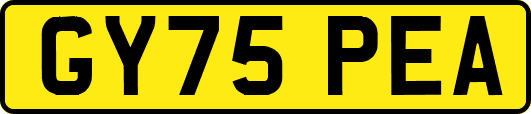 GY75PEA
