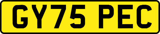 GY75PEC