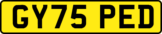 GY75PED