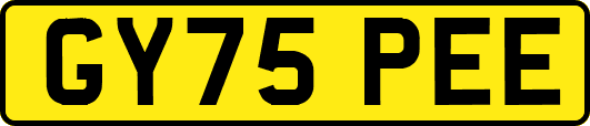 GY75PEE