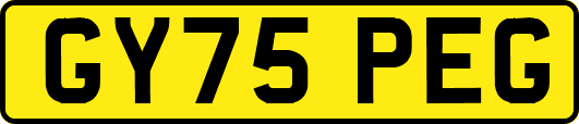 GY75PEG