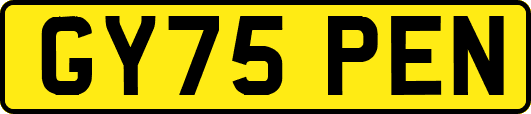 GY75PEN