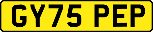 GY75PEP