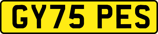GY75PES