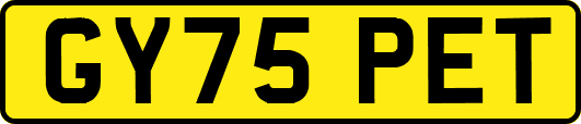 GY75PET
