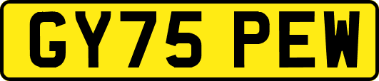 GY75PEW