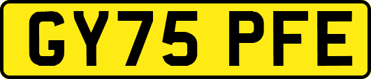 GY75PFE