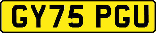 GY75PGU