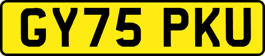 GY75PKU