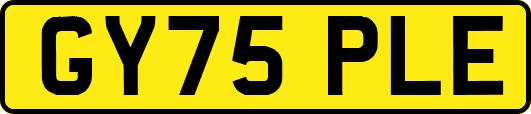 GY75PLE