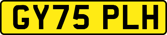 GY75PLH