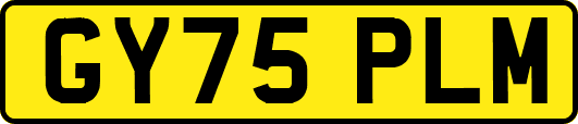 GY75PLM