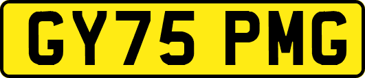 GY75PMG