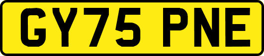 GY75PNE