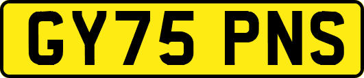 GY75PNS