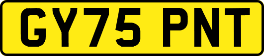 GY75PNT