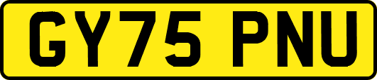 GY75PNU