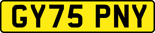 GY75PNY