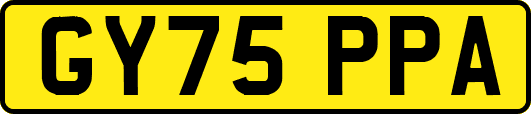 GY75PPA