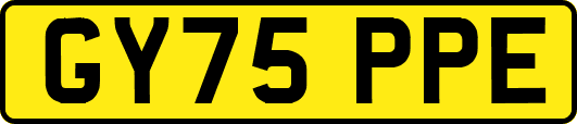 GY75PPE