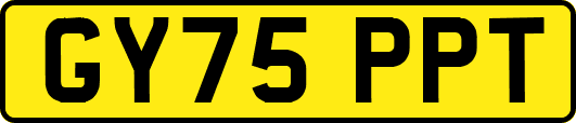 GY75PPT