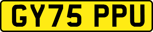 GY75PPU