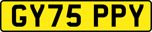 GY75PPY