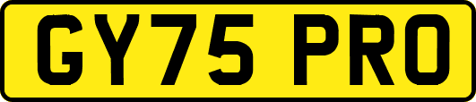 GY75PRO