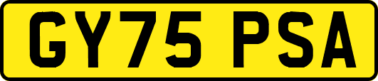 GY75PSA