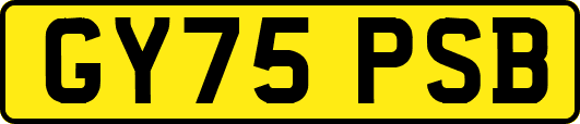 GY75PSB