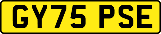 GY75PSE