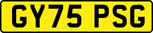 GY75PSG