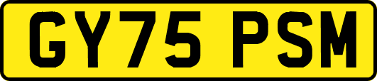 GY75PSM