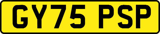 GY75PSP