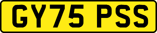 GY75PSS