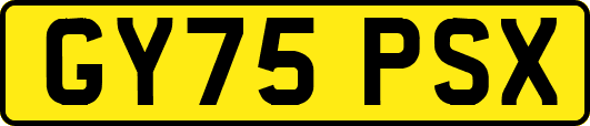 GY75PSX