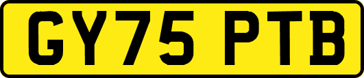 GY75PTB