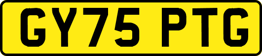 GY75PTG