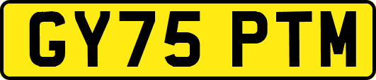 GY75PTM