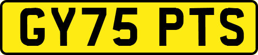 GY75PTS