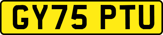 GY75PTU