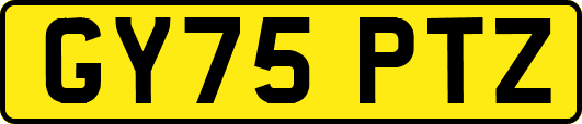 GY75PTZ