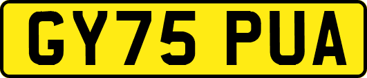 GY75PUA