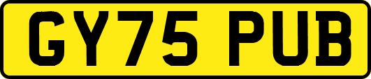 GY75PUB